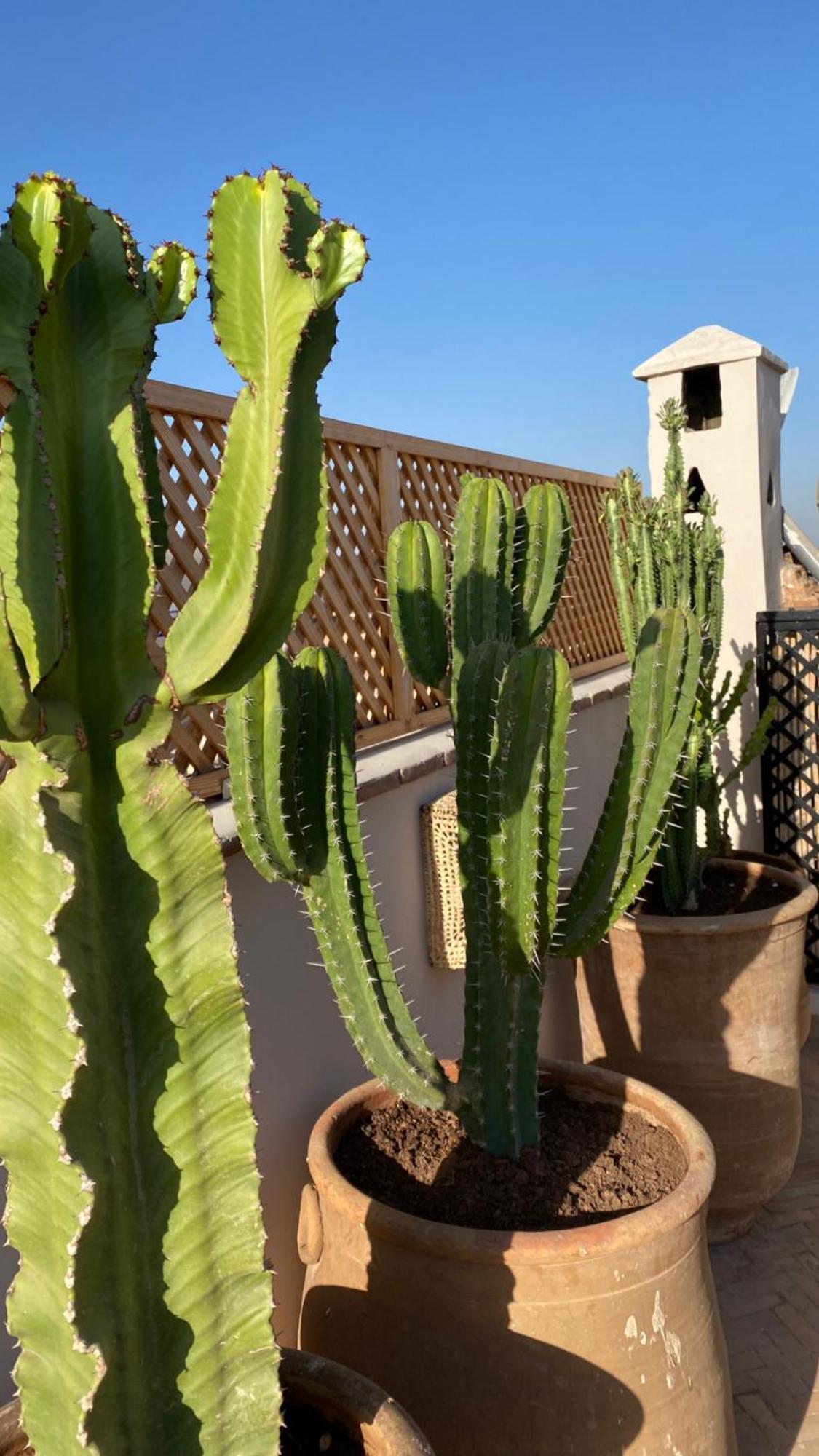 Riad Gasaembre Touareg مراكش المظهر الخارجي الصورة
